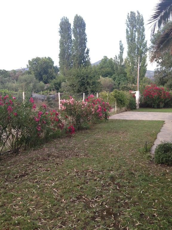 Villa Niki Neos Marmaras Zewnętrze zdjęcie